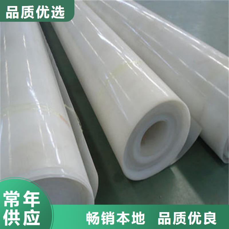 防水板_防渗膜专业的生产厂家