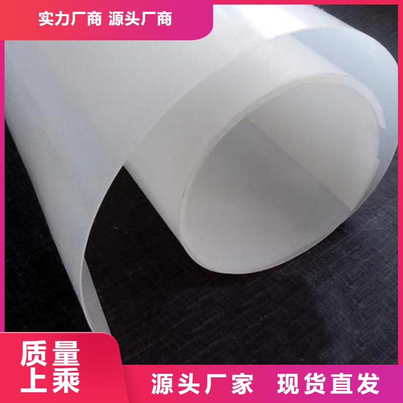 防水板_防渗膜专业的生产厂家