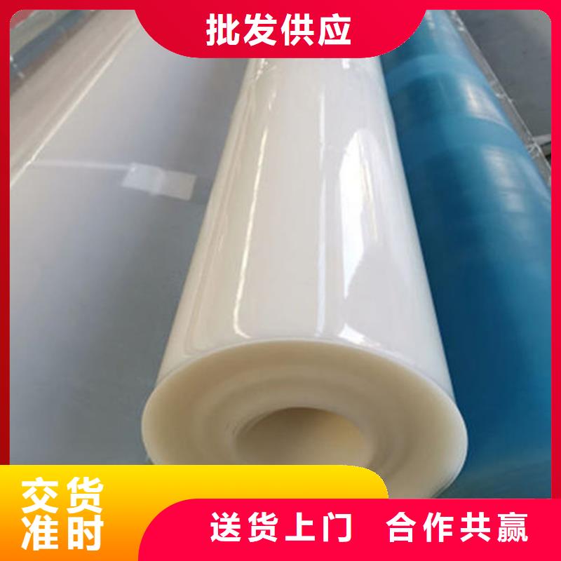 防水板_防渗膜专业的生产厂家