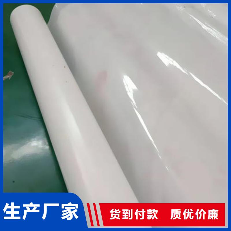 防水板_防渗膜专业的生产厂家