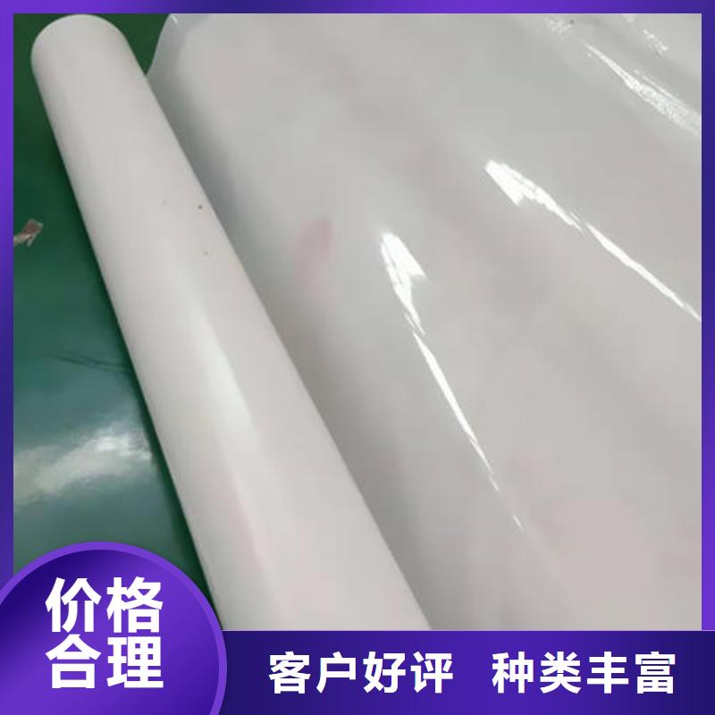 防水板塑料玻纤格栅可零售可批发