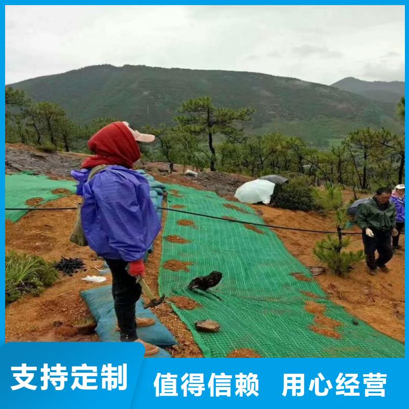 椰丝毯,通风降噪丝网全品类现货