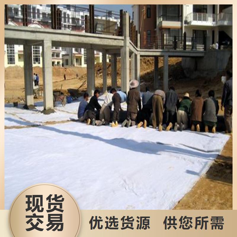 膨润土防水毯【玻璃纤维土工格栅】当地货源