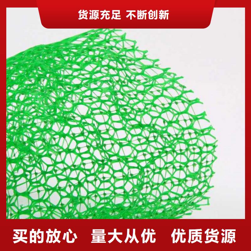 三维植被网土工布品质优选