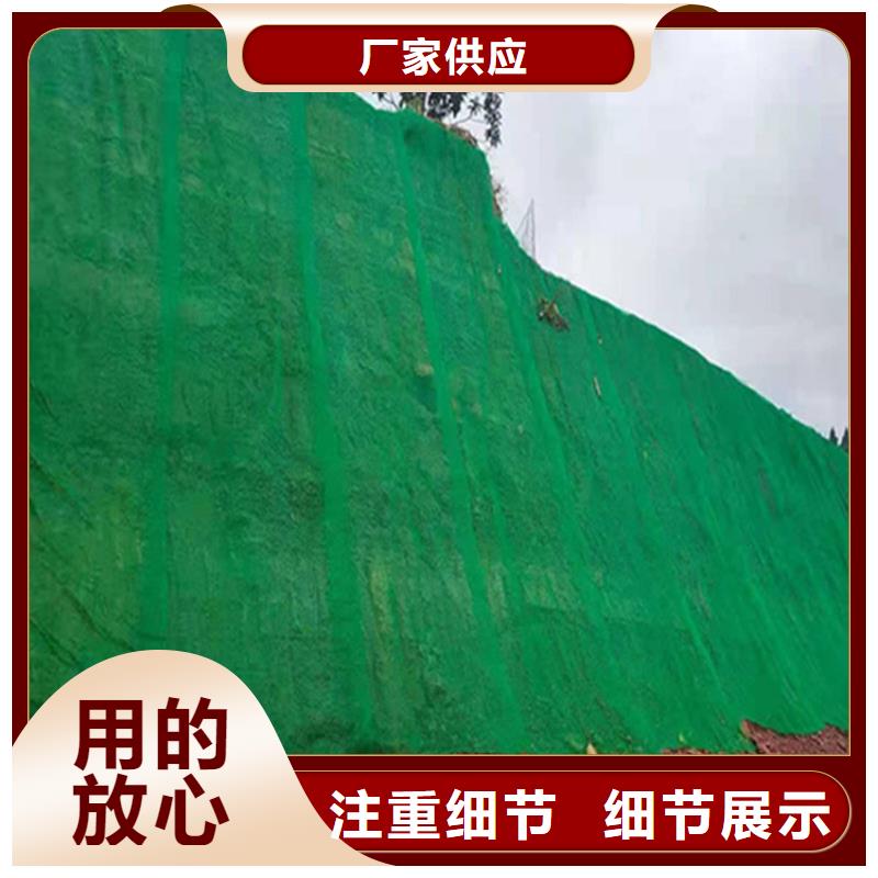三维植被网土工布品质优选