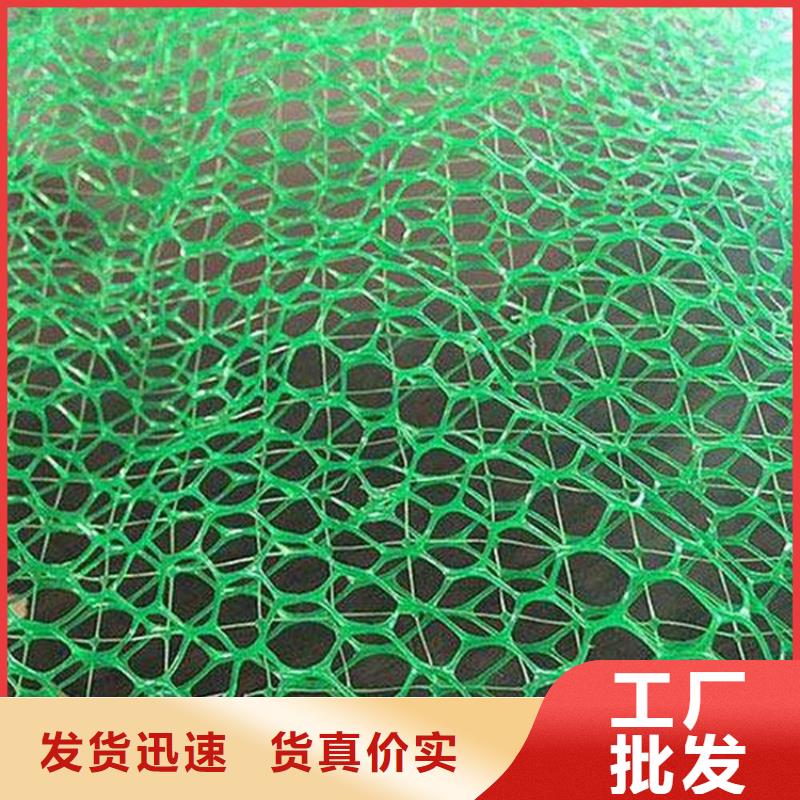 三维植被网土工布品质优选
