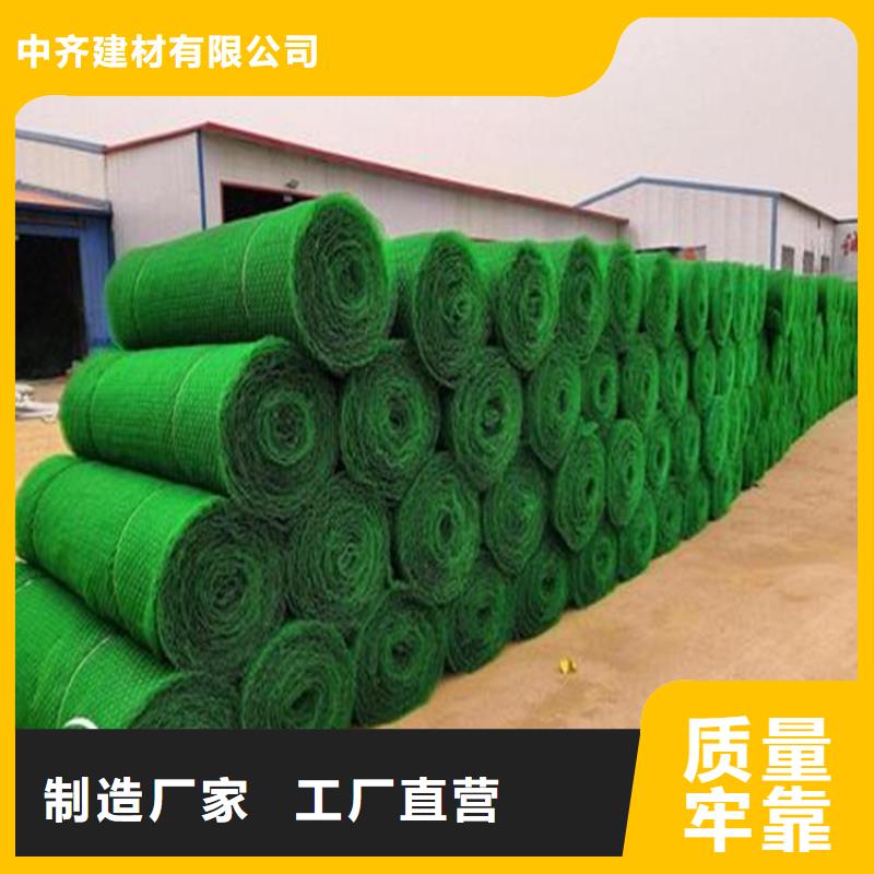 三维植被网土工布品质优选