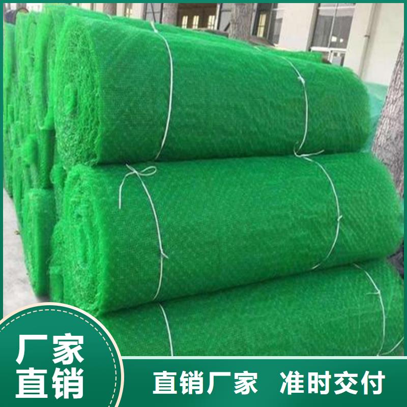 三维植被网土工布品质优选