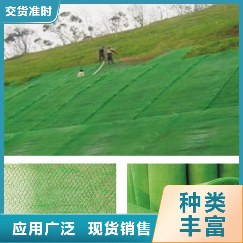 三维植被网土工布品质优选