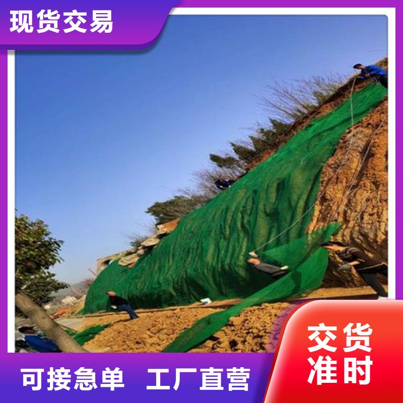 三维植被网土工布品质优选