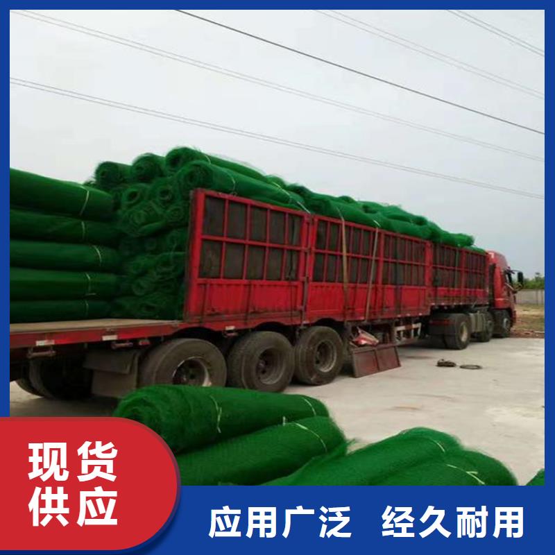 三维植被网土工布品质优选