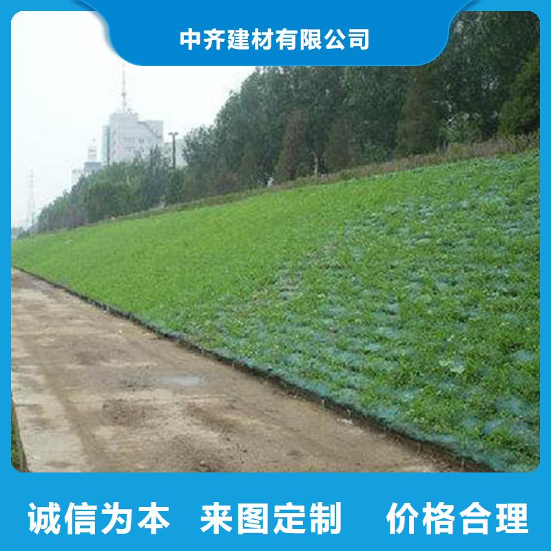 三维植被网土工布品质优选
