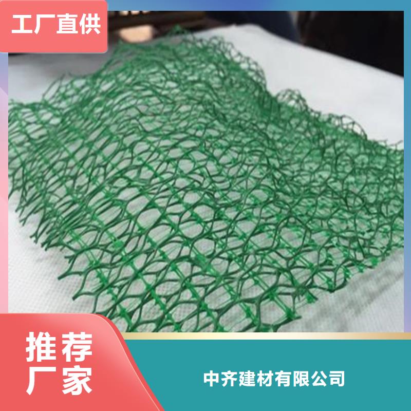 三维植被网土工布品质优选
