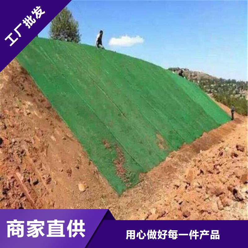 三维植被网土工布品质优选