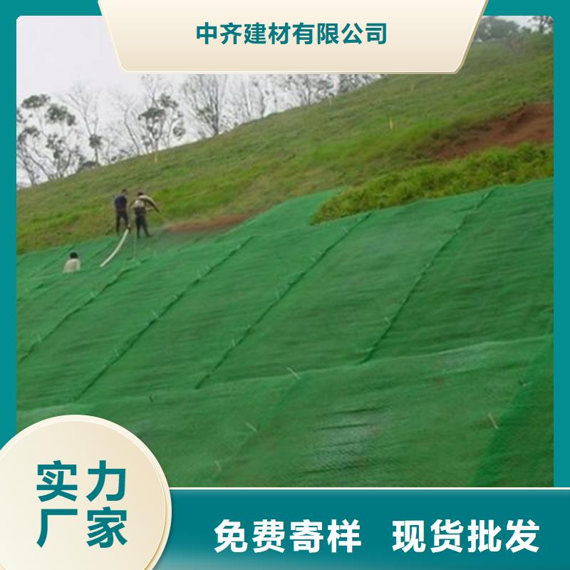 三维植被网土工布品质优选