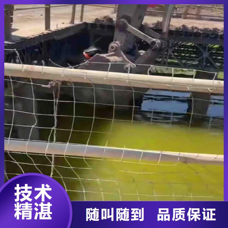 珠海莲洲镇膜袋护坡施工本地厂家浪淘沙水工
