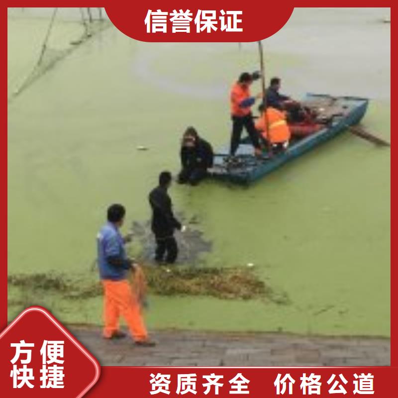 潜水员好评度高
