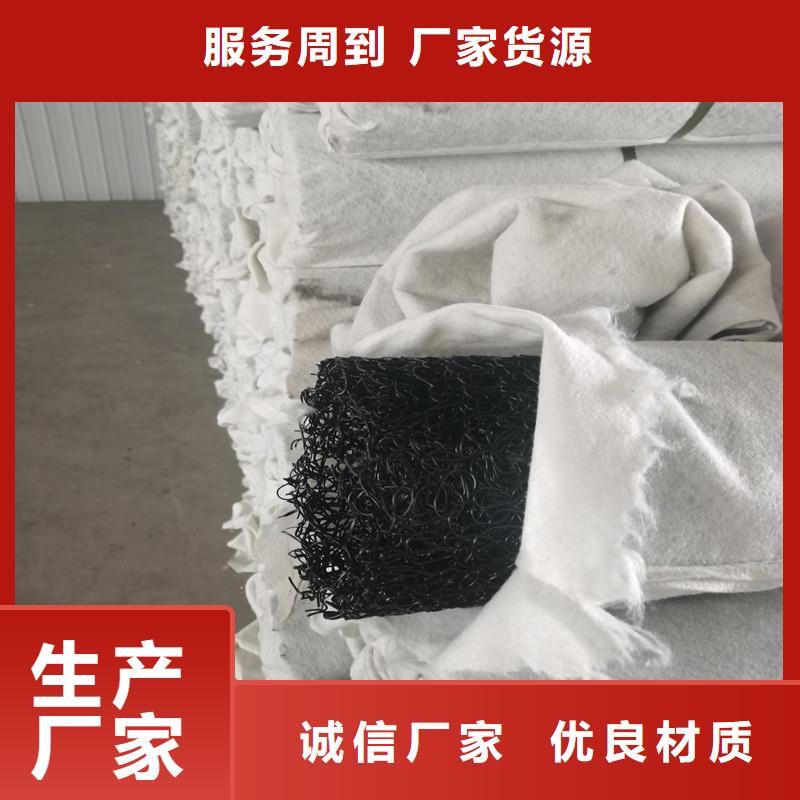 打孔型排水盲管图片采购认准大厂