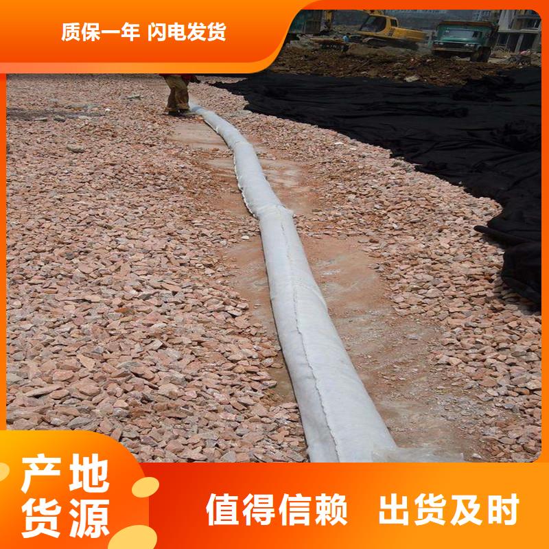速排龙规格价格