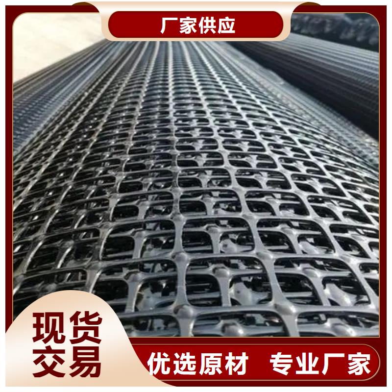 单向土工格栅质优价廉厂家