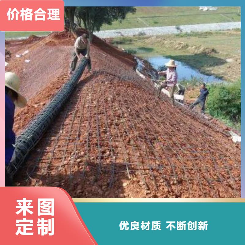 钢塑格栅品质保证厂家