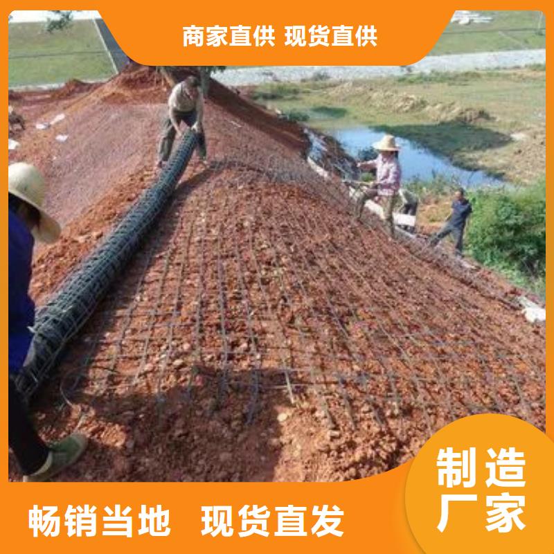 单向土工格栅厂家直销厂家