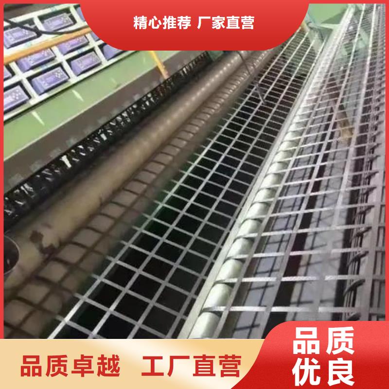 双向土工格栅服务为先电话
