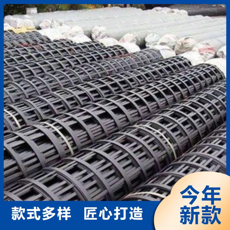 双向土工格栅实体大厂电话