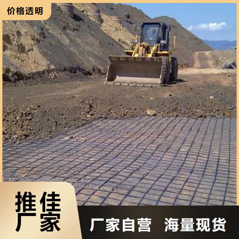 钢塑格栅品质保证厂家