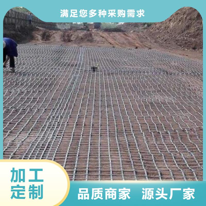 塑料格栅信息厂家