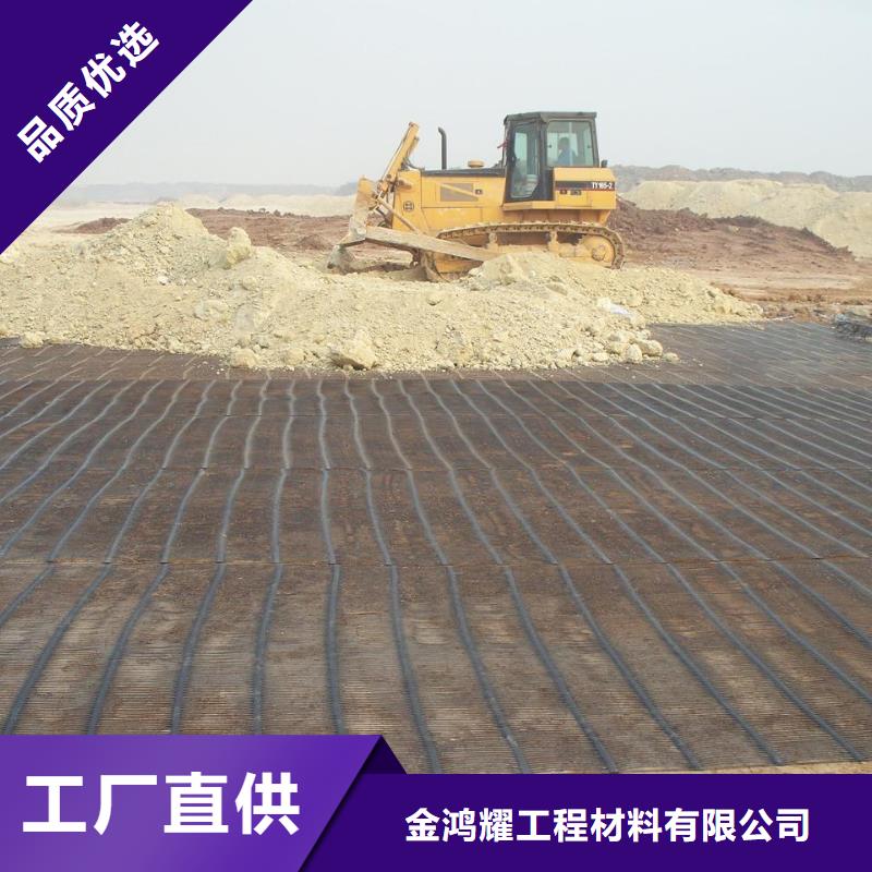 单向土工格栅质优价廉厂家