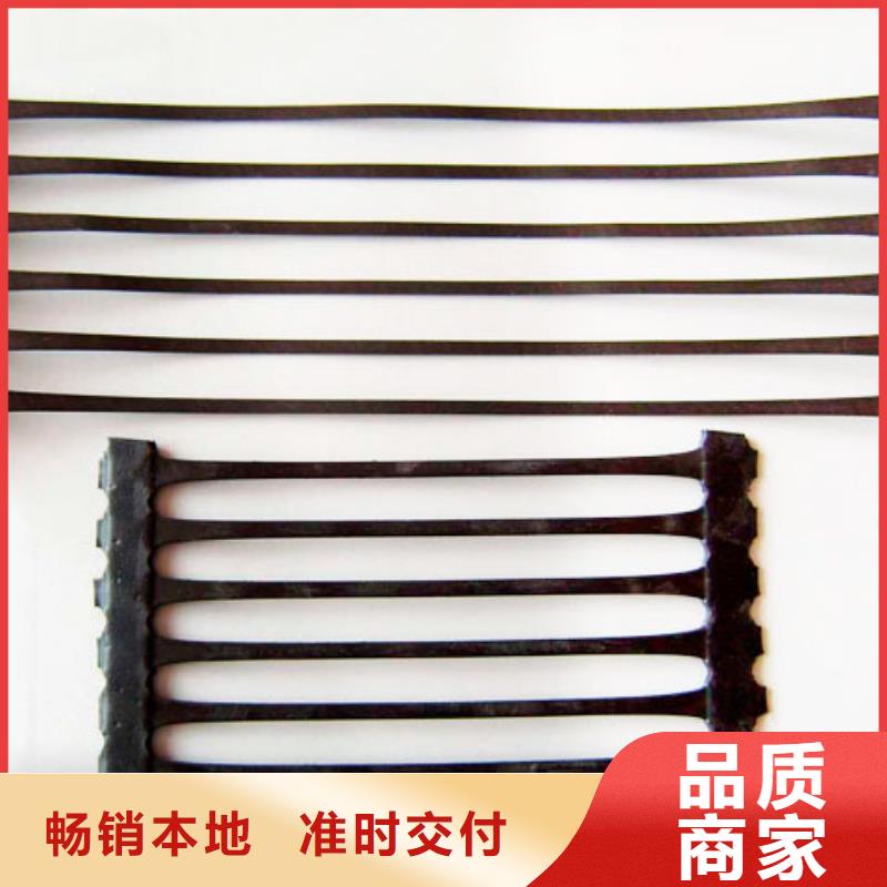 钢塑格栅库存充足厂家