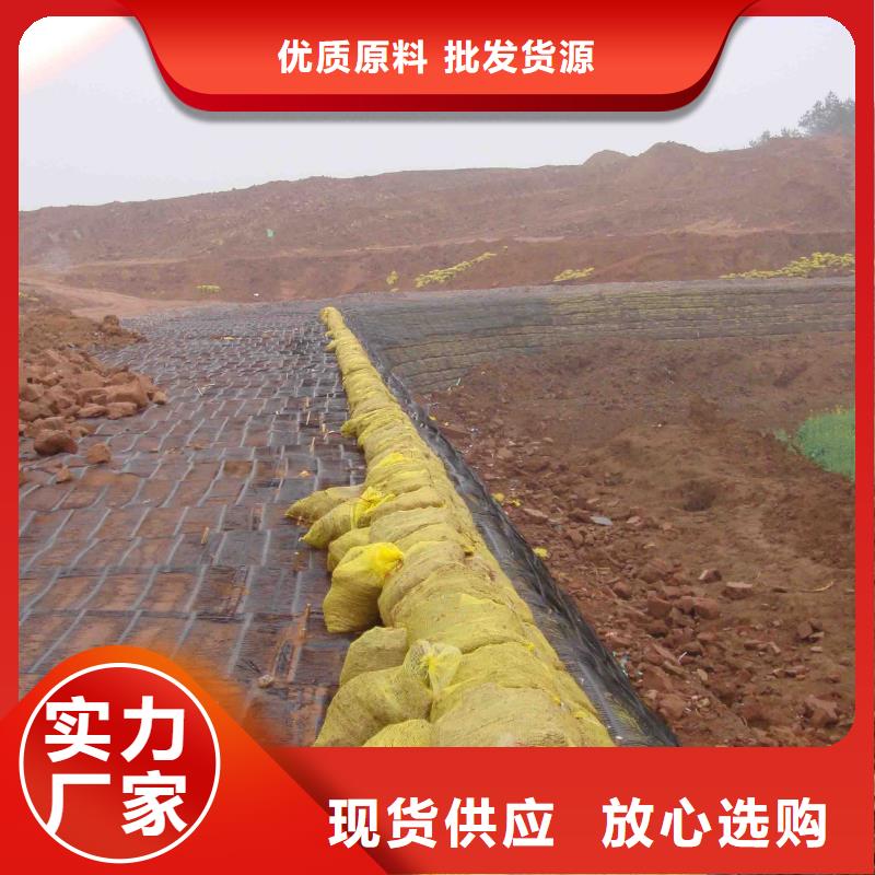 经编土工格栅采购价格厂家