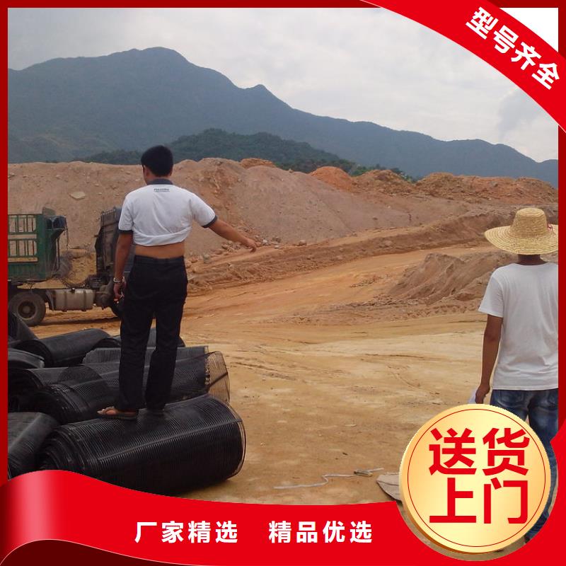 钢塑格栅品质保证厂家