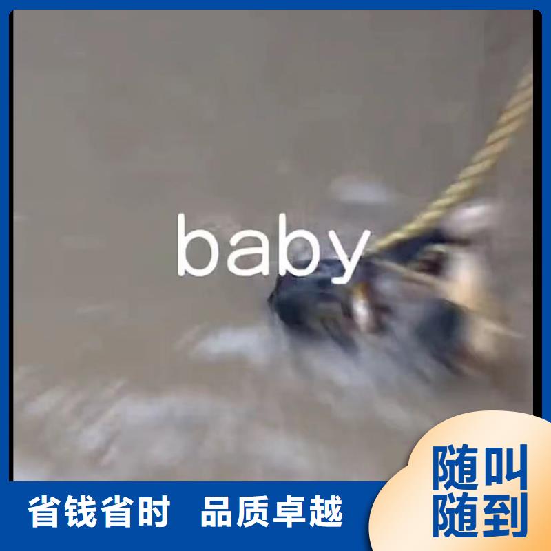 水下维修潜水团队2025公司