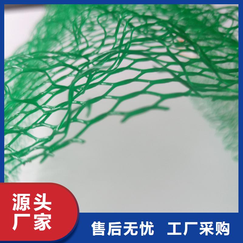 三维植被网防渗膜产地批发