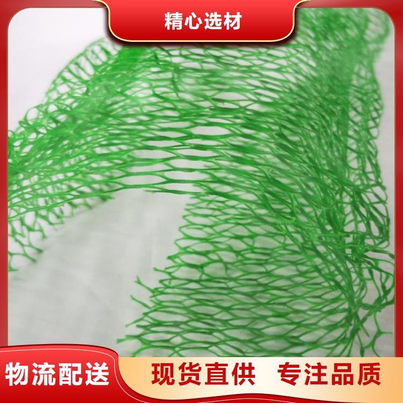 三维植被网,通风降噪丝网品质有保障
