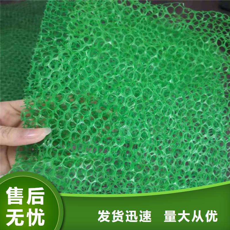 三维植被网,通风降噪丝网品质有保障