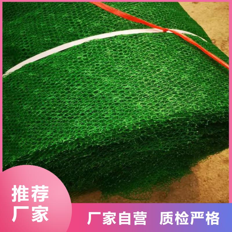 三维植被网防渗膜产地批发