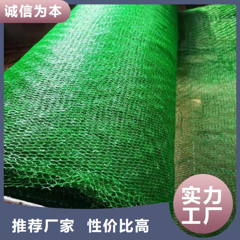 三维植被网防渗膜产地批发