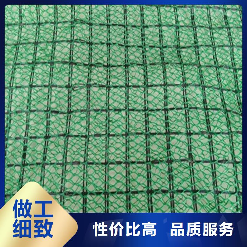三维植被网,通风降噪丝网品质有保障