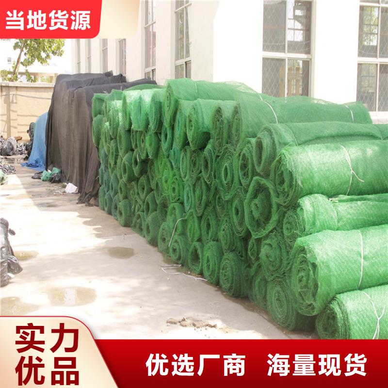 三维植被网防渗膜产地批发