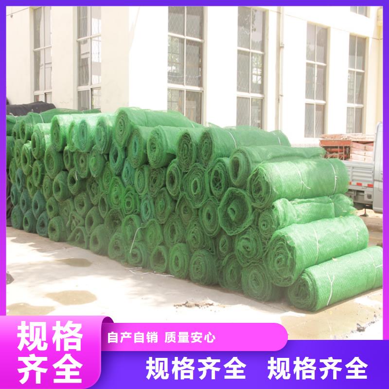 三维植被网防渗膜产地批发