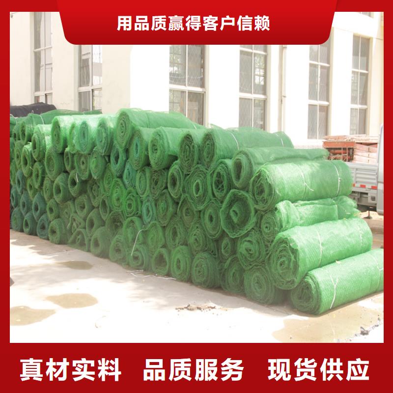 三维植被网,通风降噪丝网品质有保障