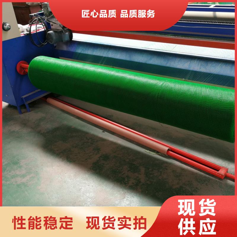 三维植被网防渗膜产地批发