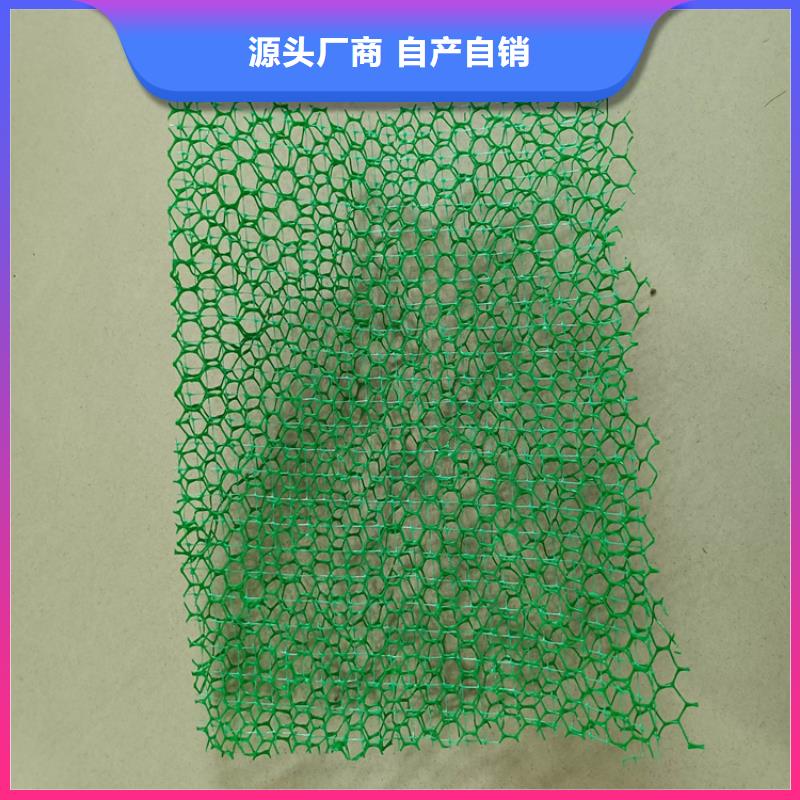 三维植被网防渗膜产地批发
