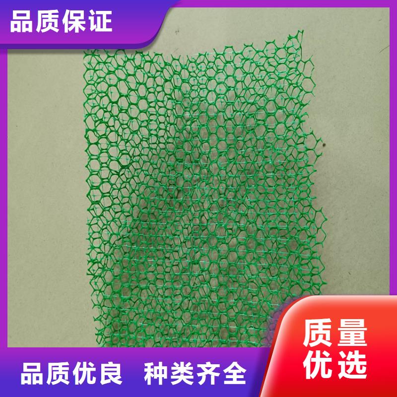 三维植被网,通风降噪丝网品质有保障
