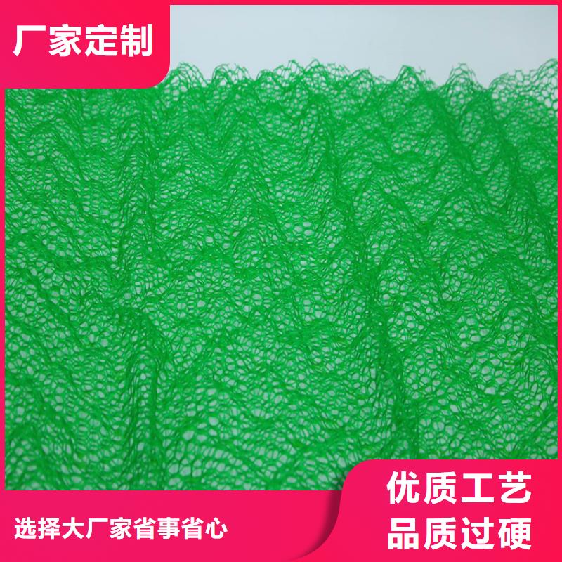 三维植被网,通风降噪丝网品质有保障