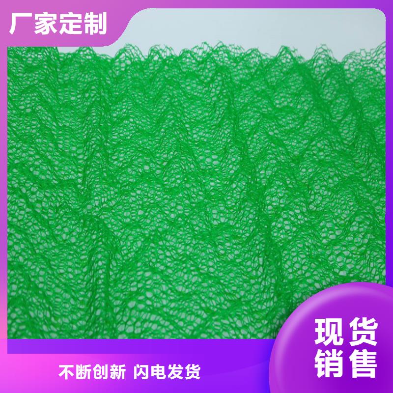 三维植被网防渗膜产地批发