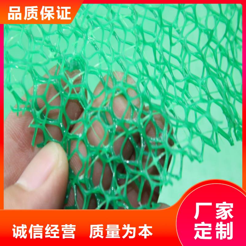 三维植被网防渗膜产地批发
